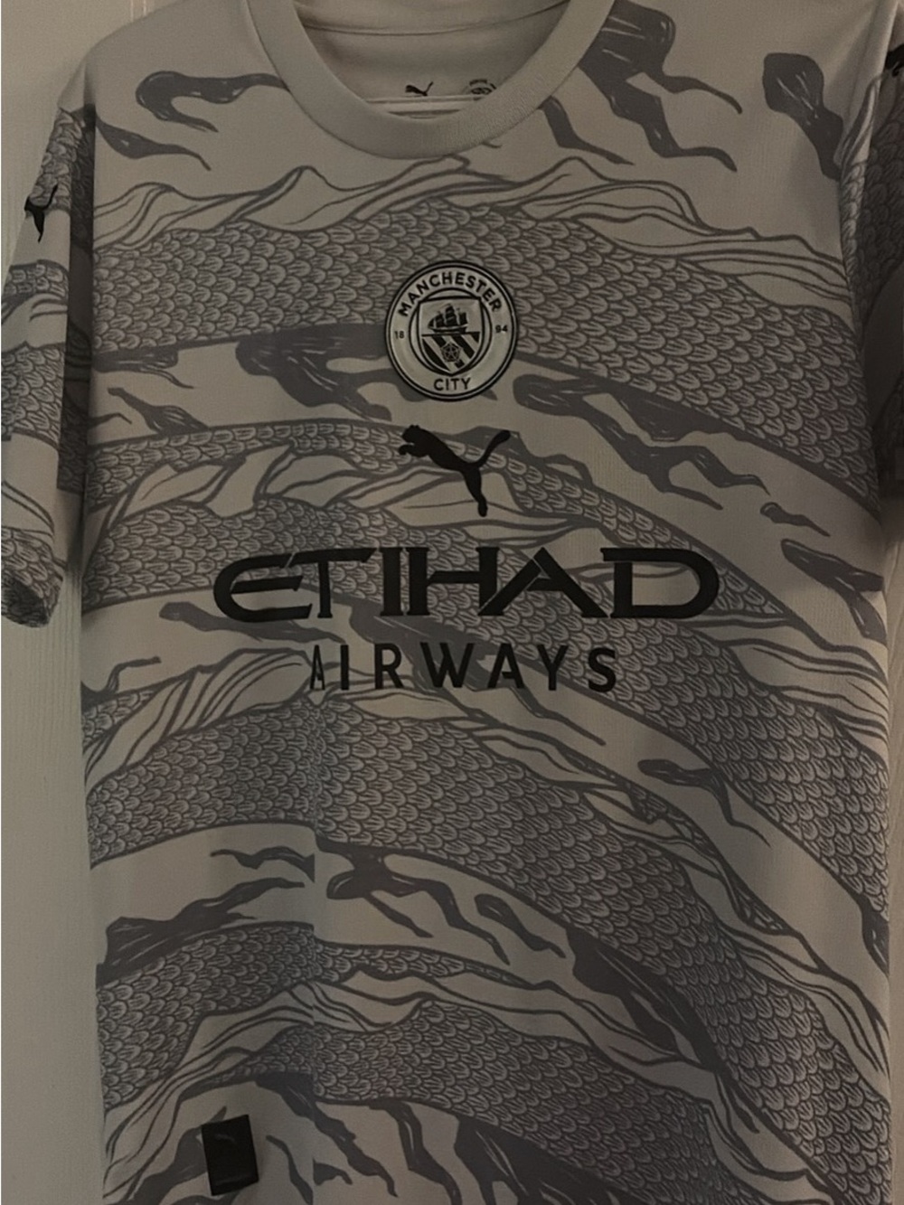 Puma Manchester City Grey Graphic Short-Sleeve Football Jersey